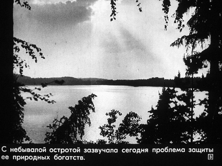 Кадр 3 диафильма «Природа и мы»