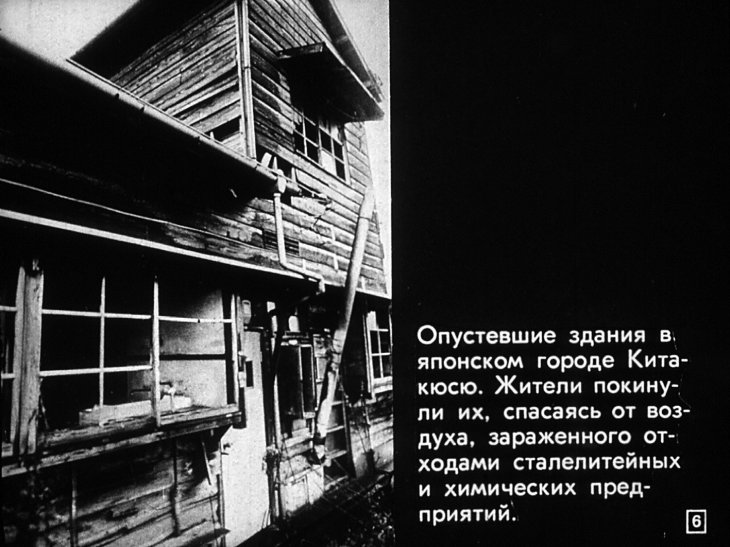 Кадр 6 диафильма «Природа и мы»