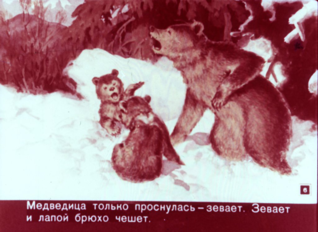 Кадр 6 диафильма «Медвежья горка»