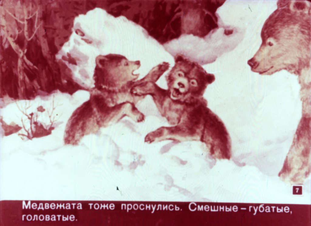 Кадр 7 диафильма «Медвежья горка»