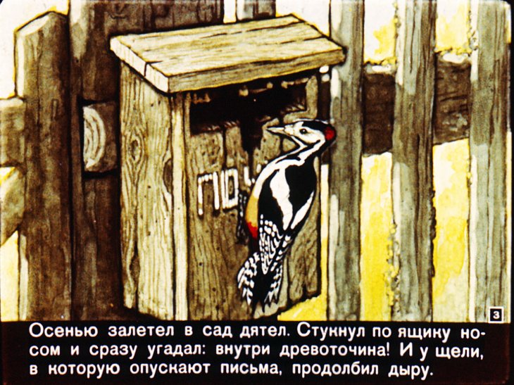 Кадр 3 диафильма «Трясогузкины письма»