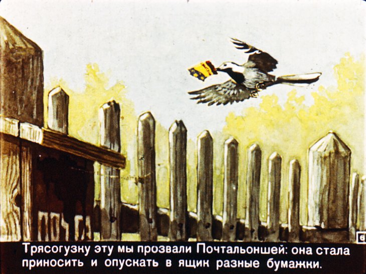 Кадр 6 диафильма «Трясогузкины письма»