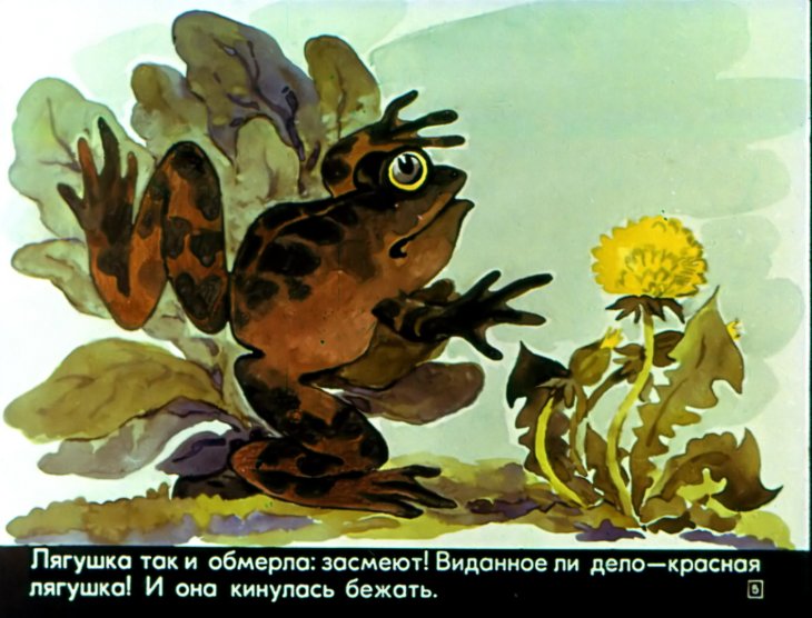 Кадр 4 диафильма «Сказка про необыкновенную лягушку»