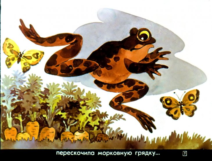 Кадр 6 диафильма «Сказка про необыкновенную лягушку»