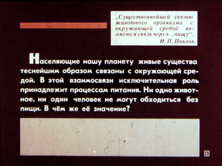 Кадр 2 диафильма «Питание и пищеварение»