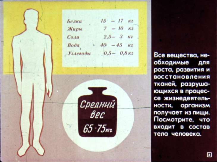 Кадр 3 диафильма «Питание и пищеварение»