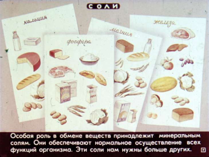 Кадр 7 диафильма «Питание и пищеварение»