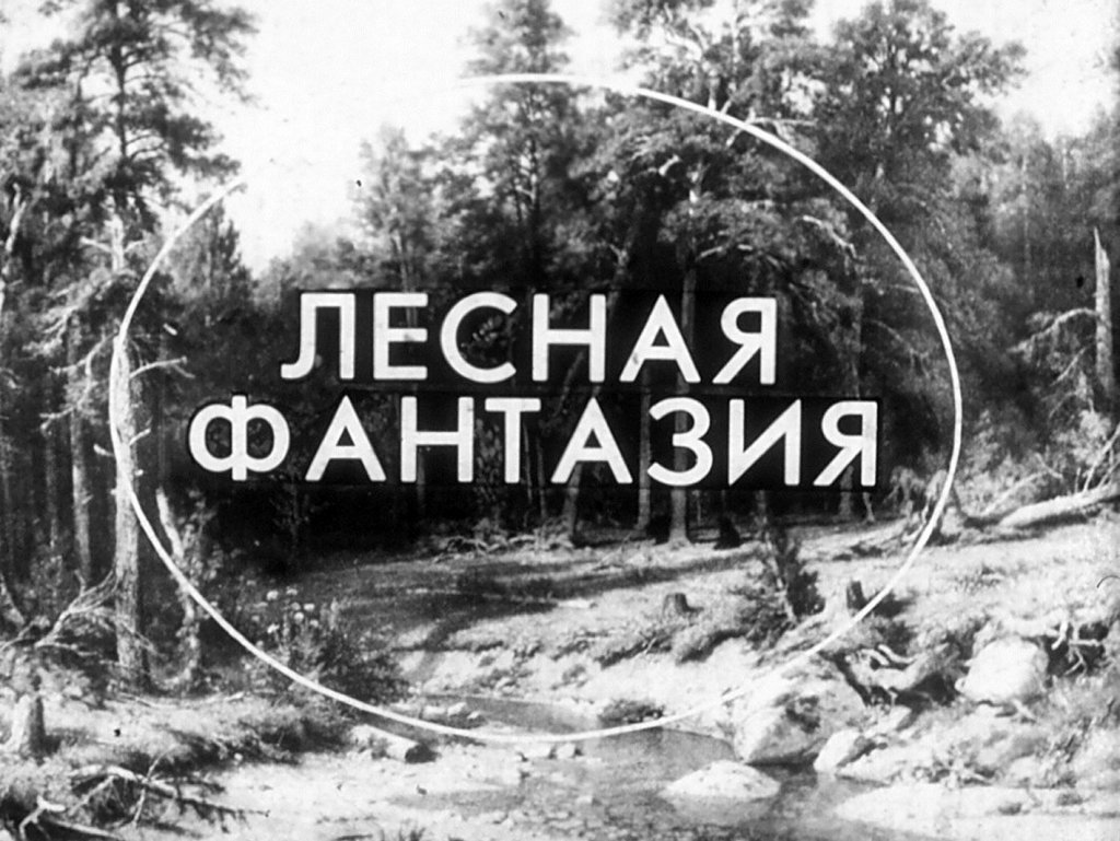 Кадр 1 диафильма «Лесная фантазия»
