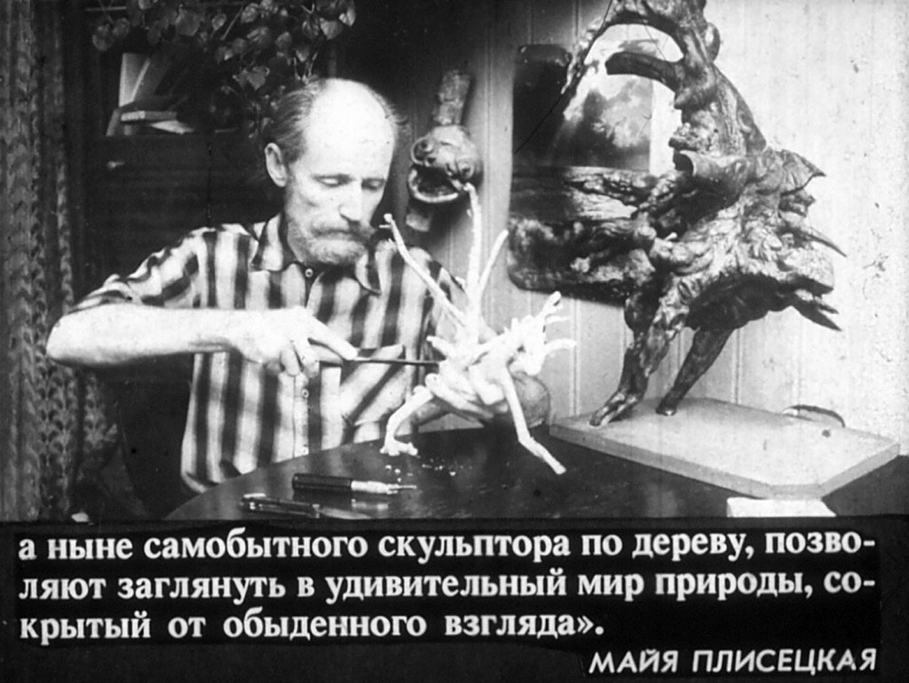 Кадр 3 диафильма «Лесная фантазия»