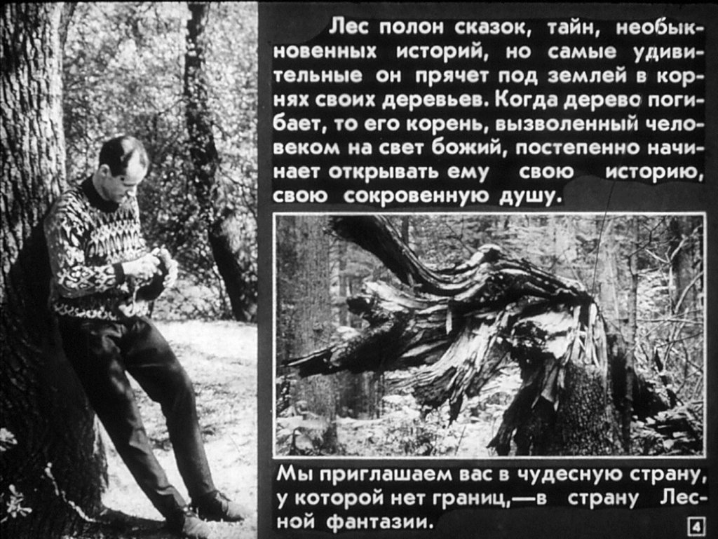 Кадр 4 диафильма «Лесная фантазия»