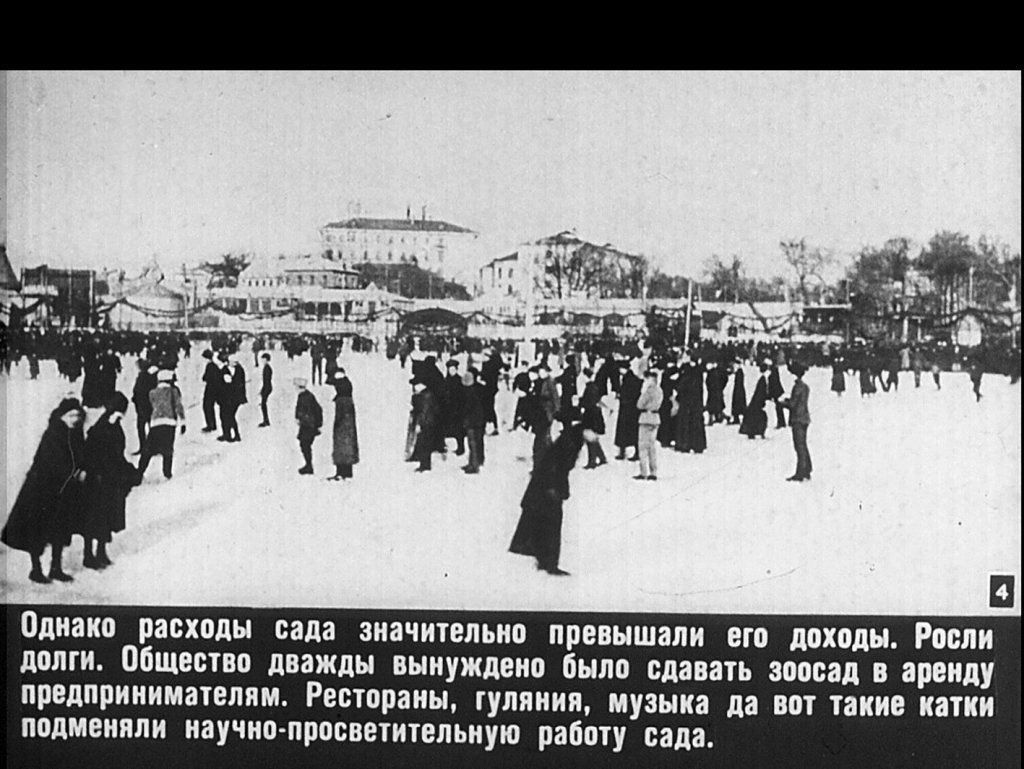 Кадр 4 диафильма «Московский зоопарк»