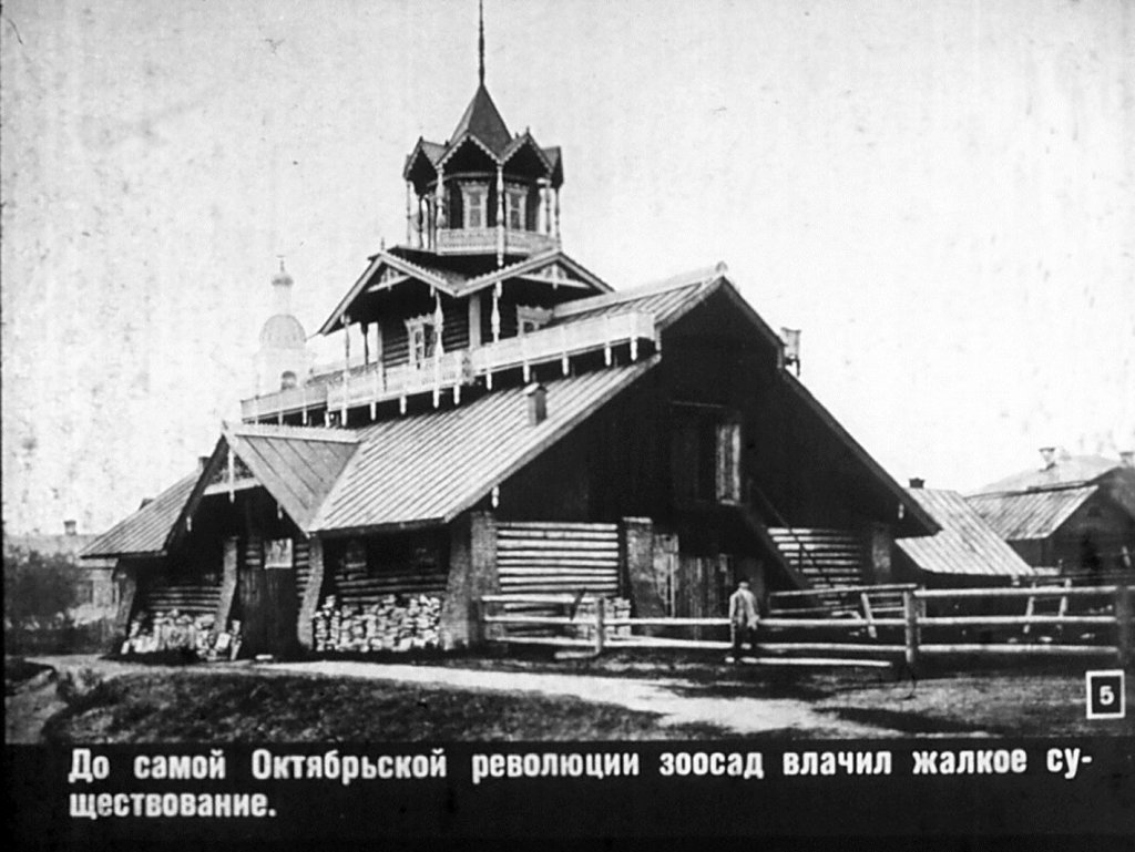 Кадр 5 диафильма «Московский зоопарк»