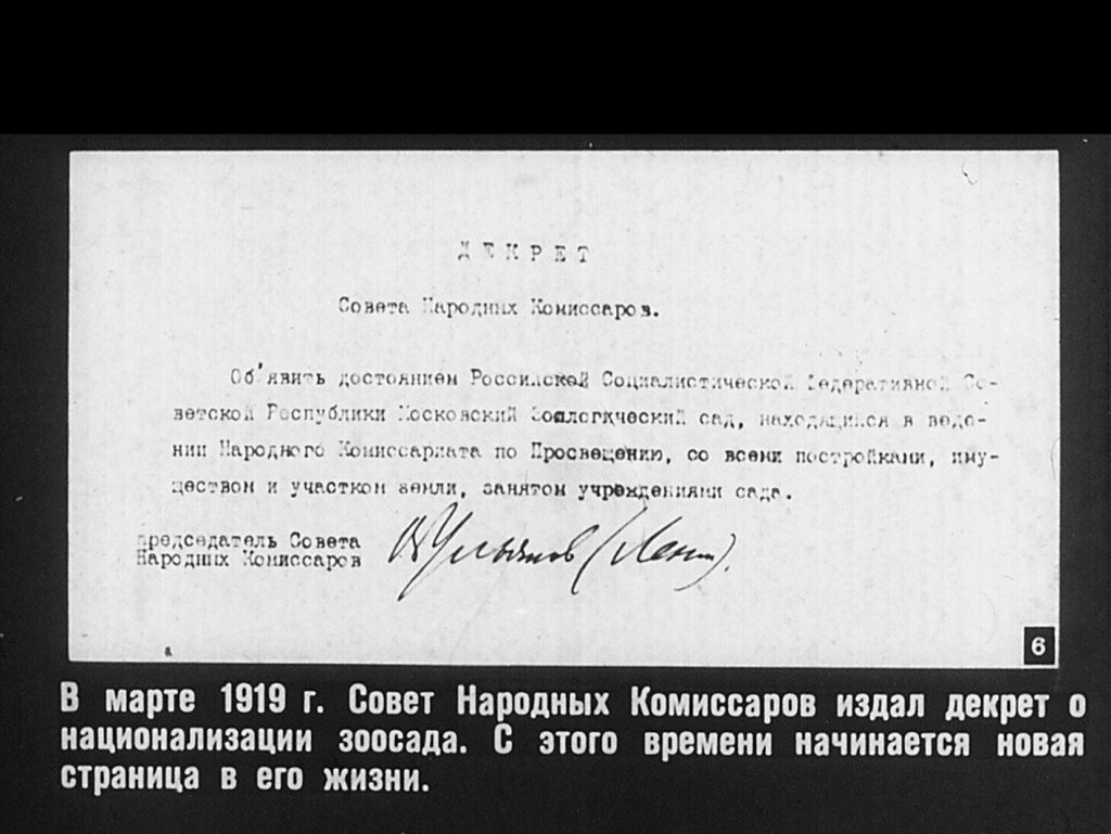 Кадр 6 диафильма «Московский зоопарк»