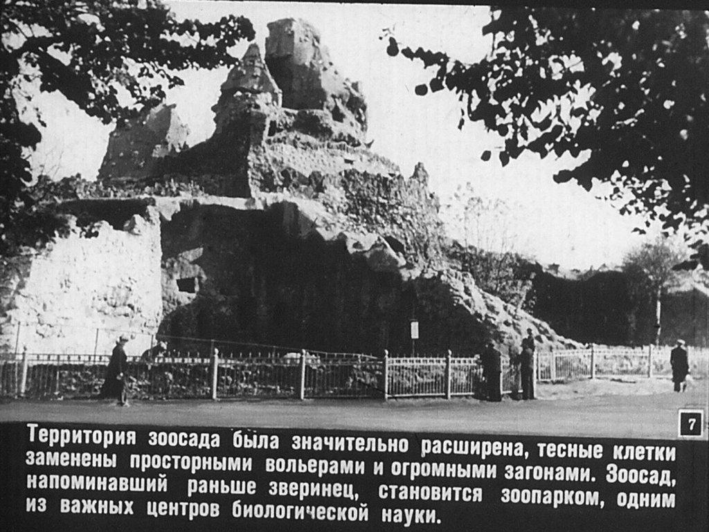 Кадр 7 диафильма «Московский зоопарк»