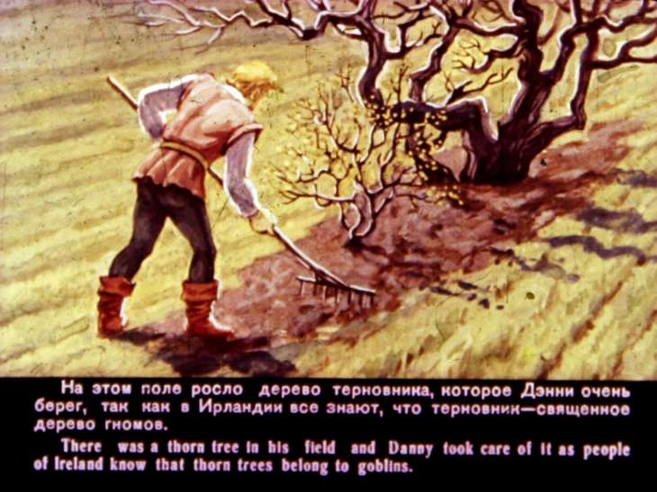 Кадр 3 диафильма «Терновник»