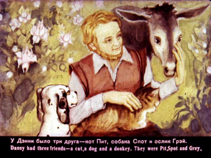 Кадр 6 диафильма «Терновник»