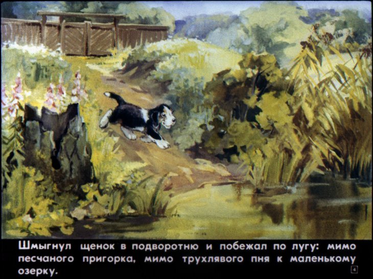 Кадр 4 диафильма «Первая охота»
