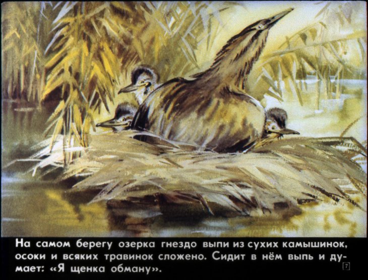 Кадр 7 диафильма «Первая охота»