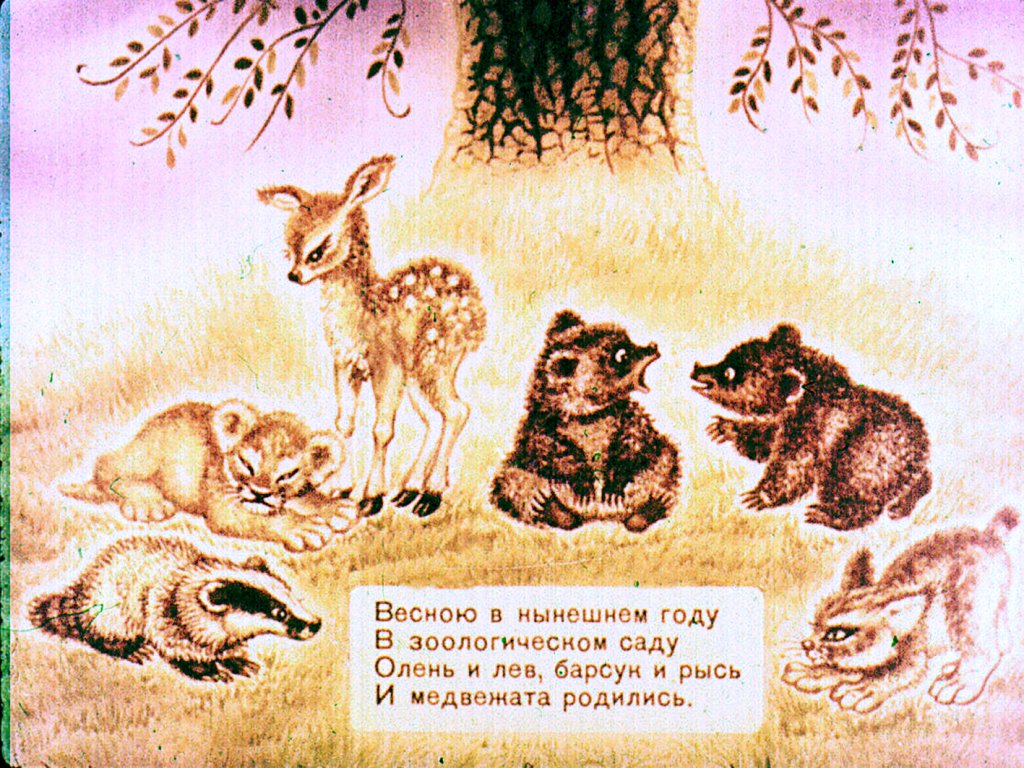 Кадр 2 диафильма «Детки в клетке»