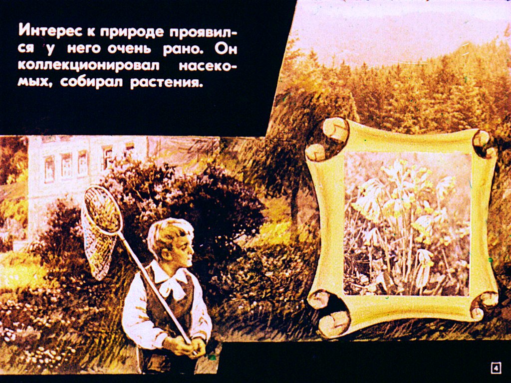 Кадр 4 диафильма «Жизнь и деятельность Чарлза Дарвина»