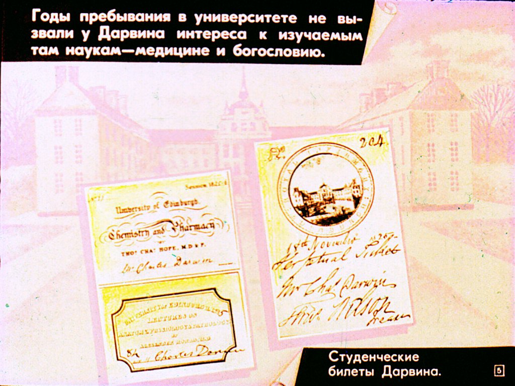 Кадр 5 диафильма «Жизнь и деятельность Чарлза Дарвина»