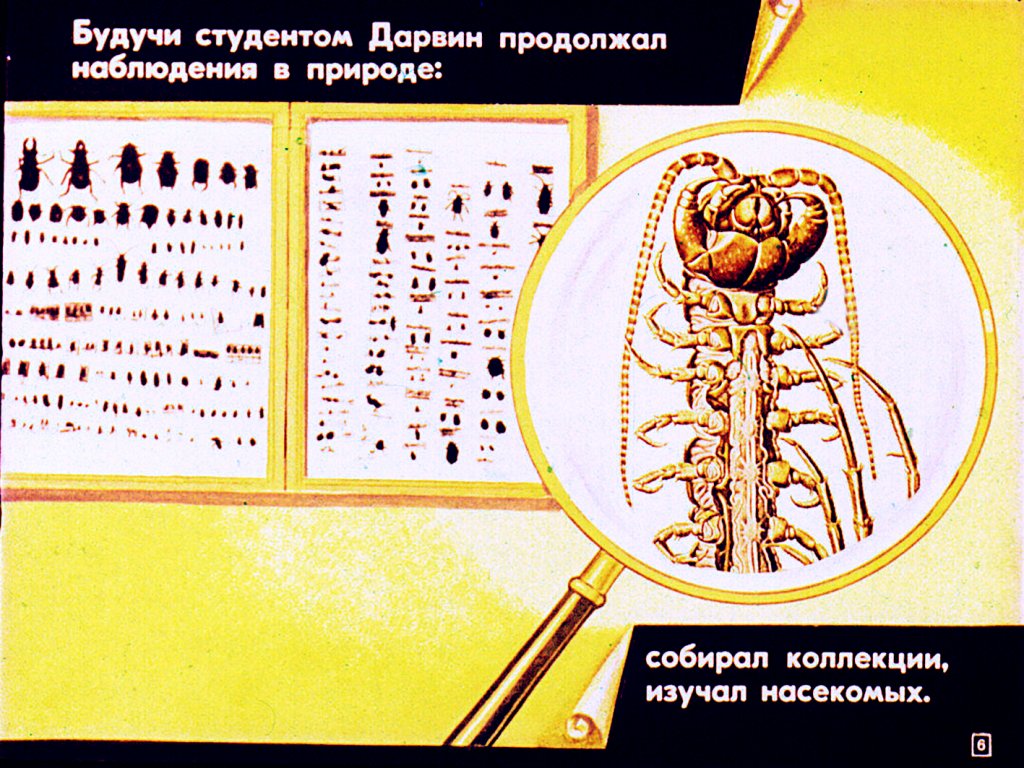 Кадр 6 диафильма «Жизнь и деятельность Чарлза Дарвина»
