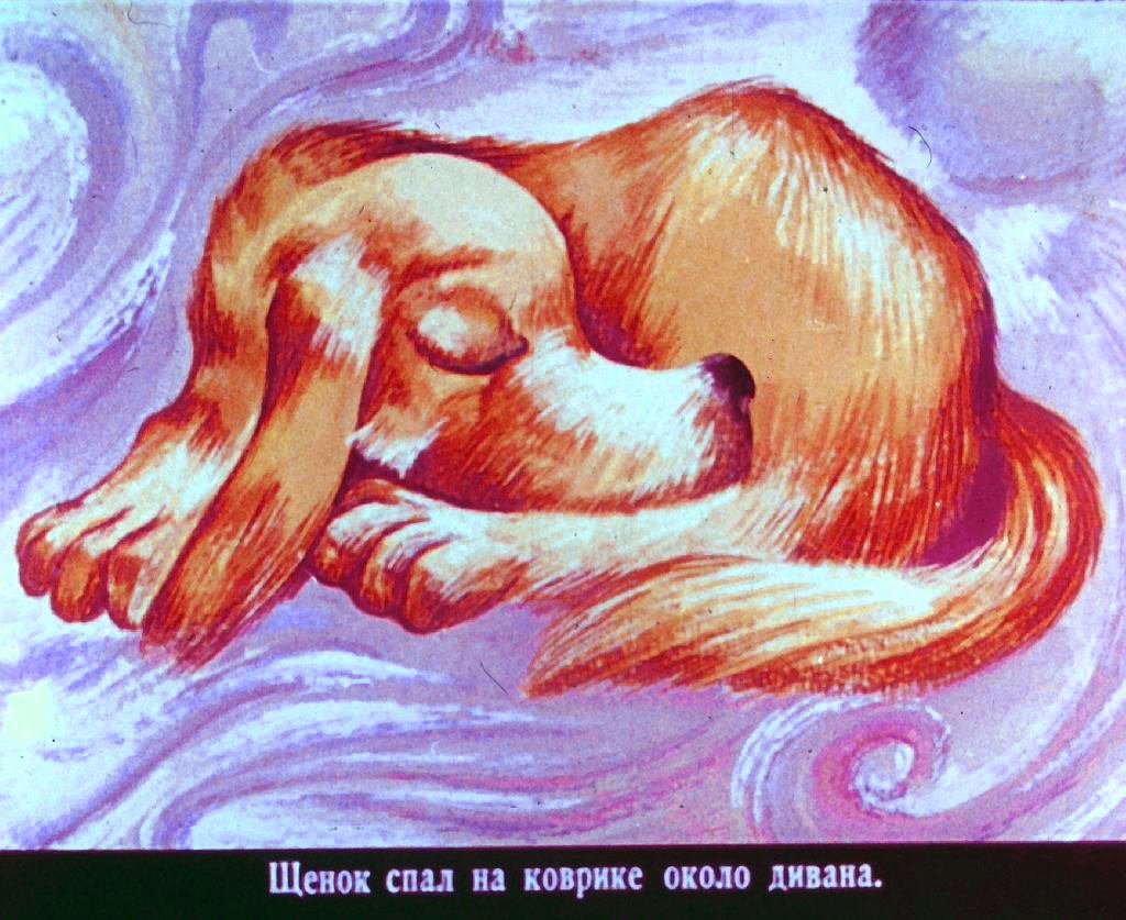 Кадр 2 диафильма «Кто сказал "мяу"?»