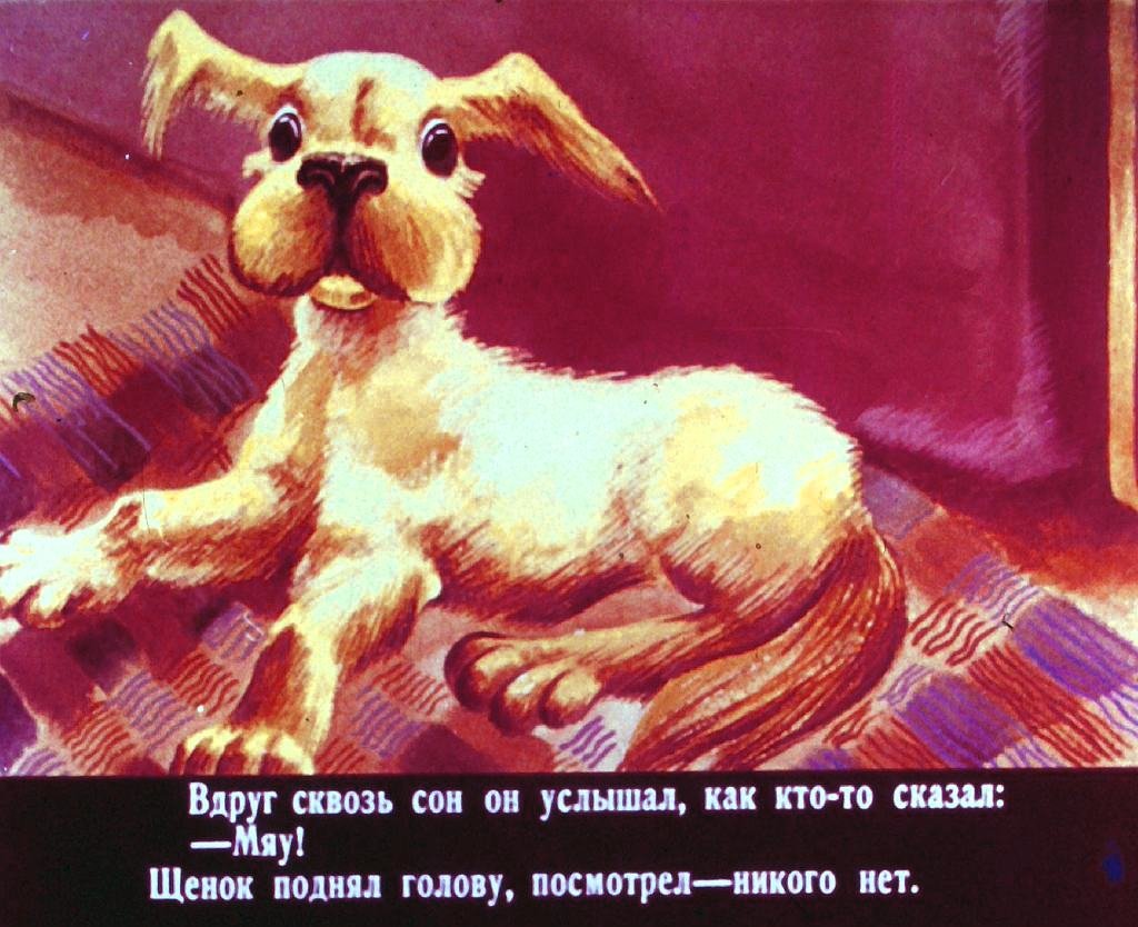 Кадр 3 диафильма «Кто сказал "мяу"?»