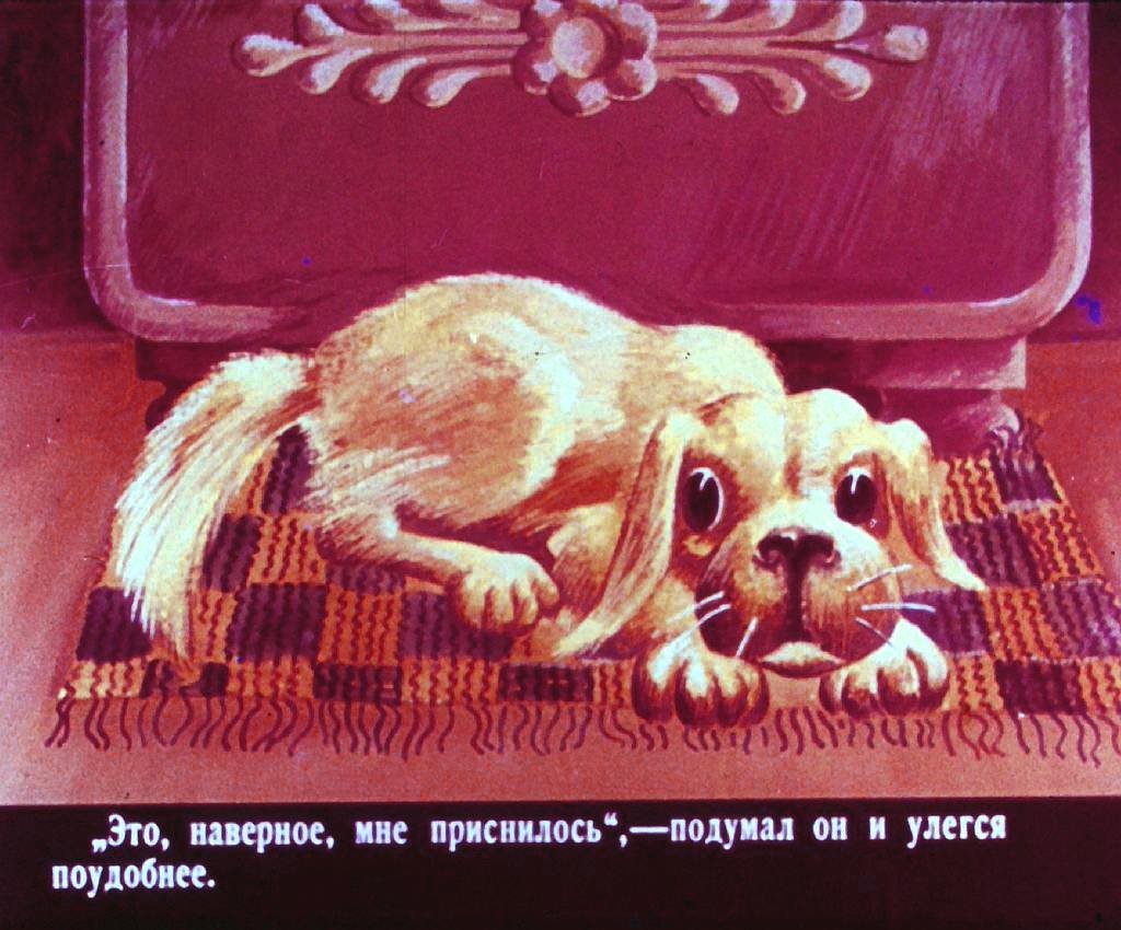 Кадр 4 диафильма «Кто сказал "мяу"?»