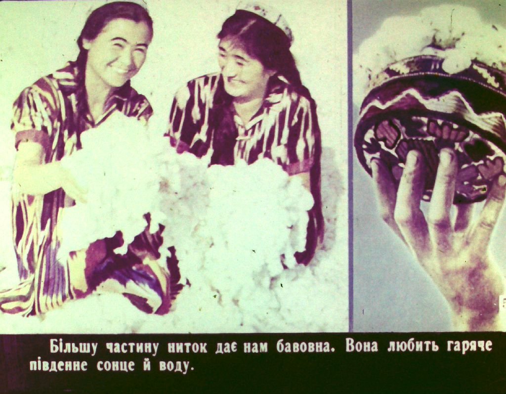 Кадр 7 диафильма «Кто нас одевает. Часть 1»
