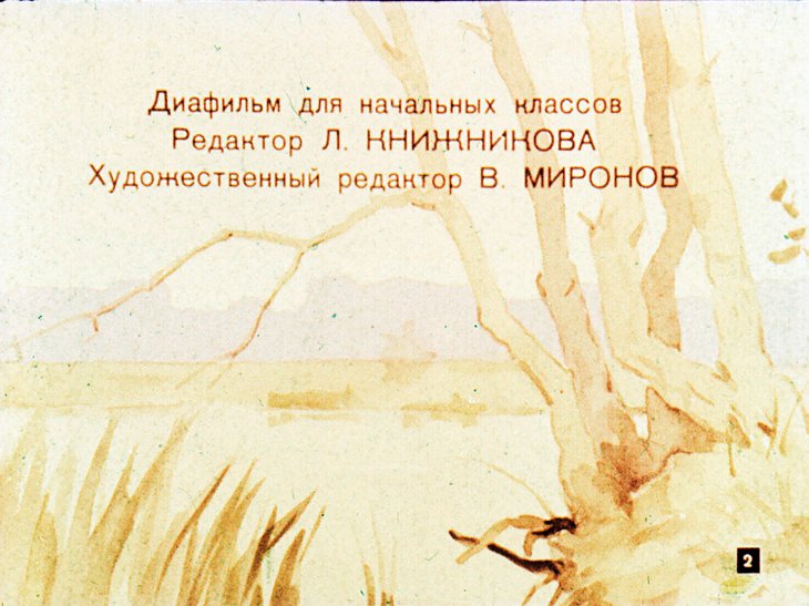 Кадр 2 диафильма «Среди топи»