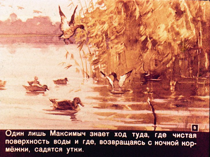 Кадр 5 диафильма «Среди топи»