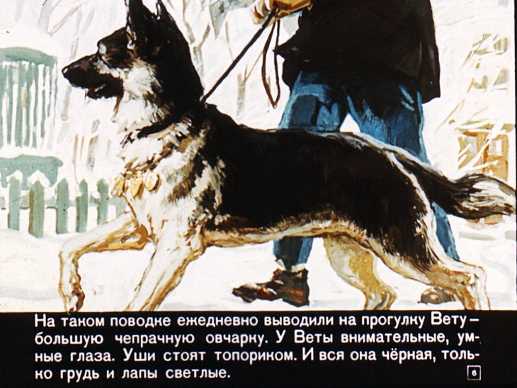 Кадр 6 диафильма «У человека должна быть собака»