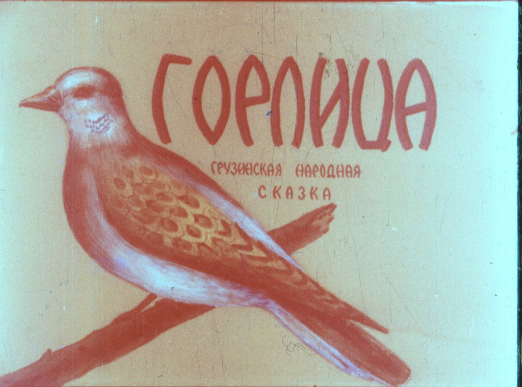 Кадр 1 диафильма «Горлица»