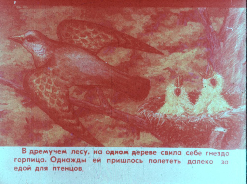 Кадр 3 диафильма «Горлица»