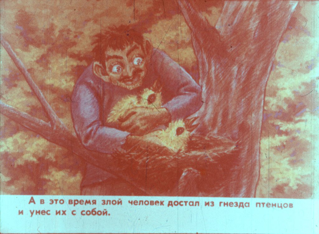 Кадр 4 диафильма «Горлица»