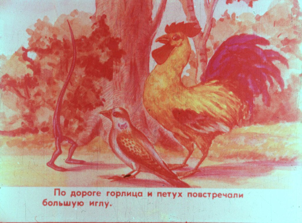 Кадр 6 диафильма «Горлица»