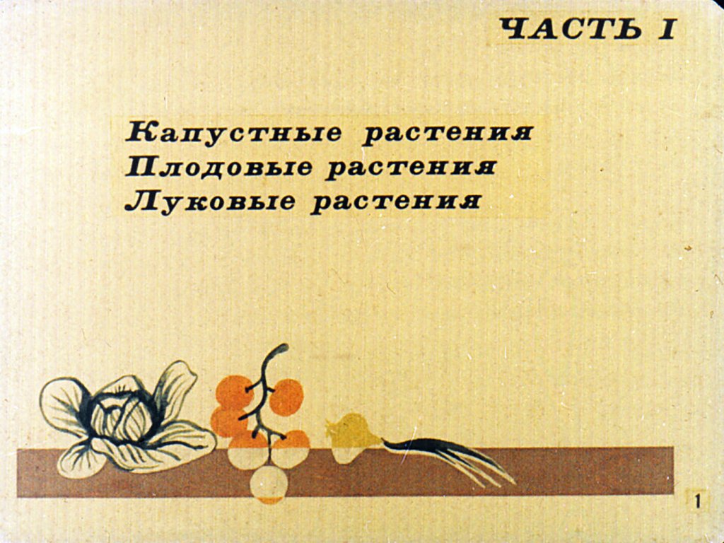 Кадр 2 диафильма «Сорта овощных культур. Часть1»
