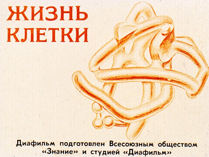Кадр 1 диафильма «Жизнь клетки»