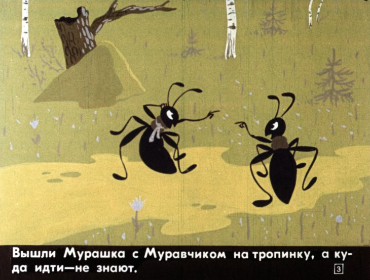 Кадр 3 диафильма «Координатная прямая. Координатная плоскость»