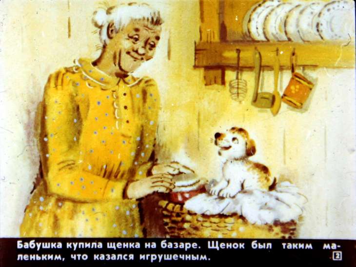 Кадр 2 диафильма «А я кто?»
