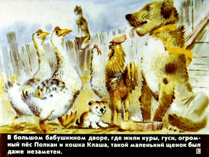 Кадр 3 диафильма «А я кто?»