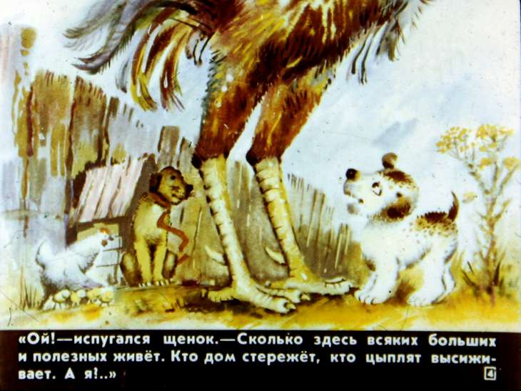 Кадр 4 диафильма «А я кто?»