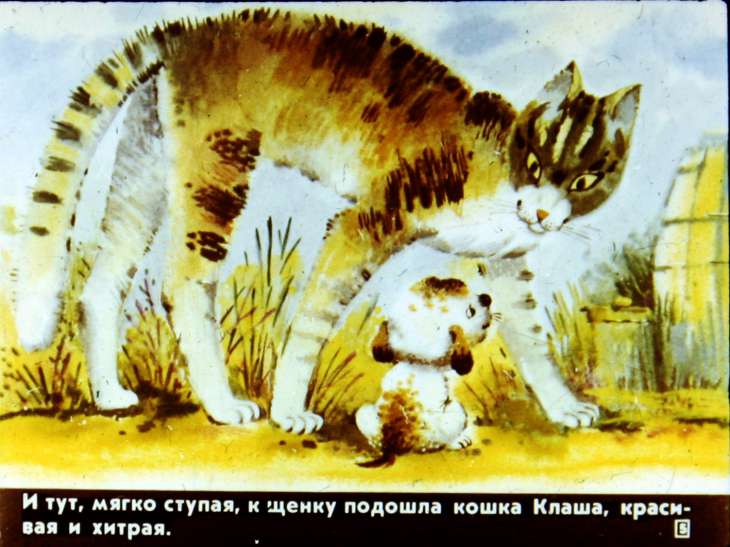 Кадр 5 диафильма «А я кто?»