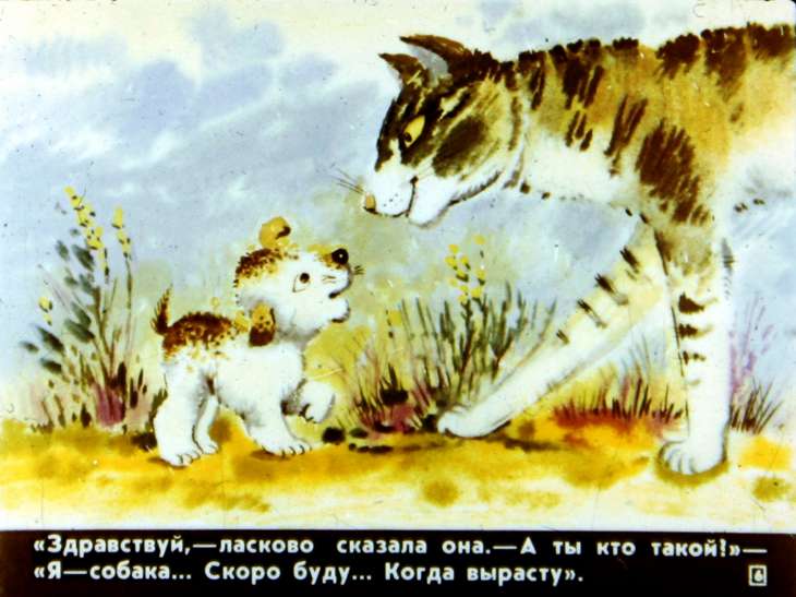 Кадр 6 диафильма «А я кто?»