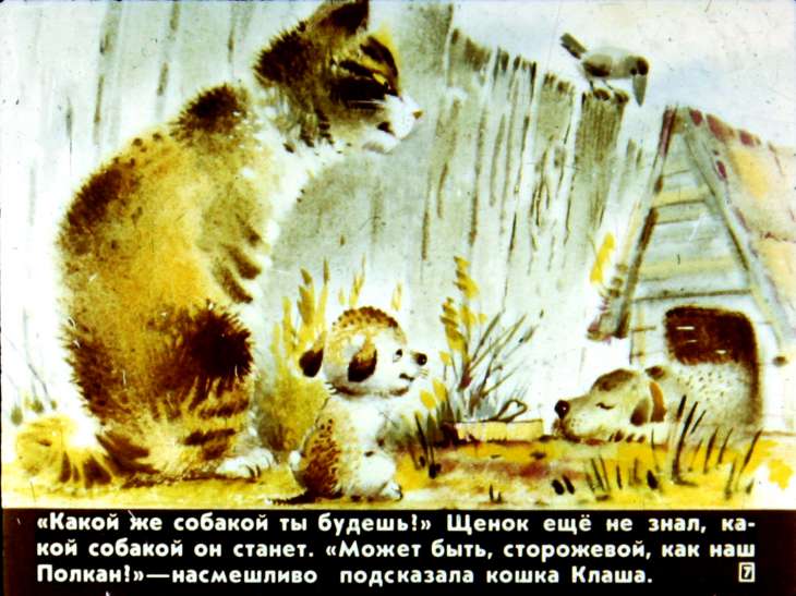 Кадр 7 диафильма «А я кто?»
