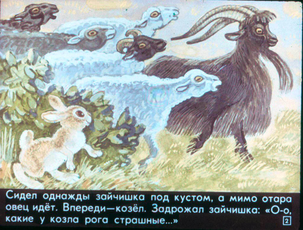 Кадр 2 диафильма «Как зайчишка ума набрался»