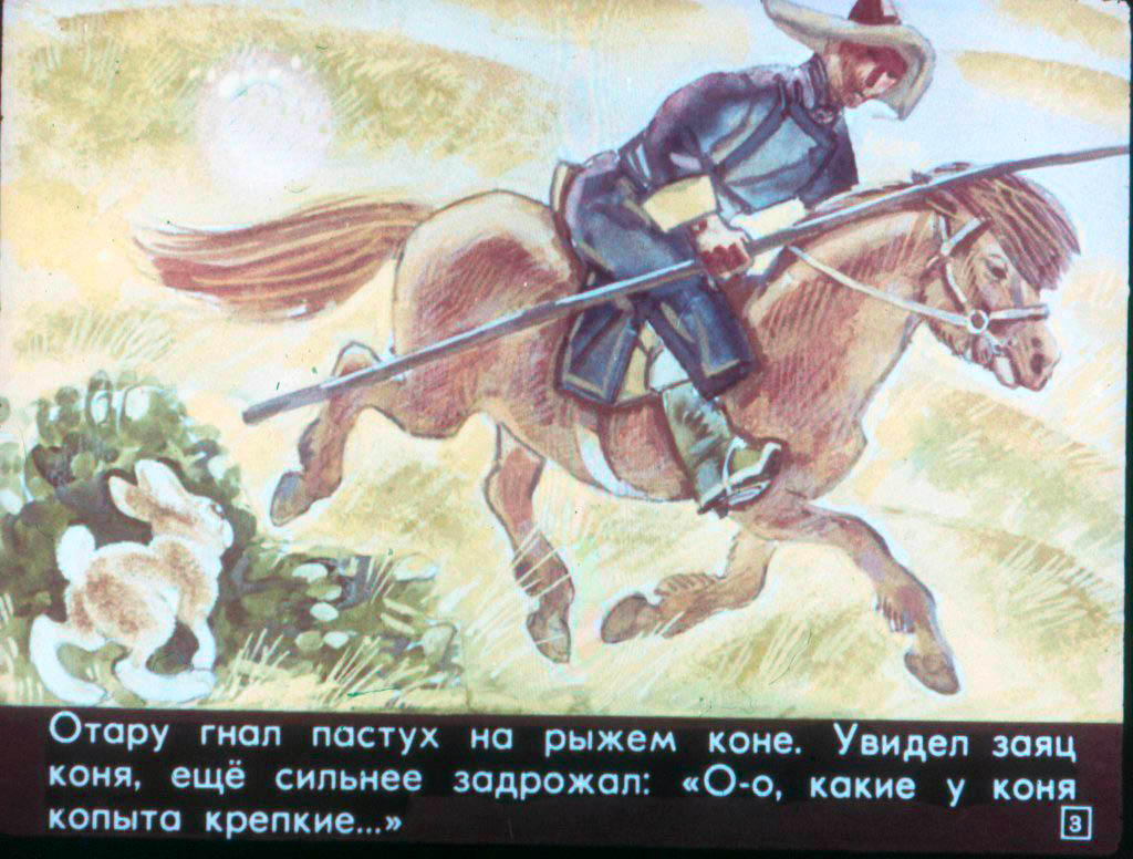 Кадр 3 диафильма «Как зайчишка ума набрался»