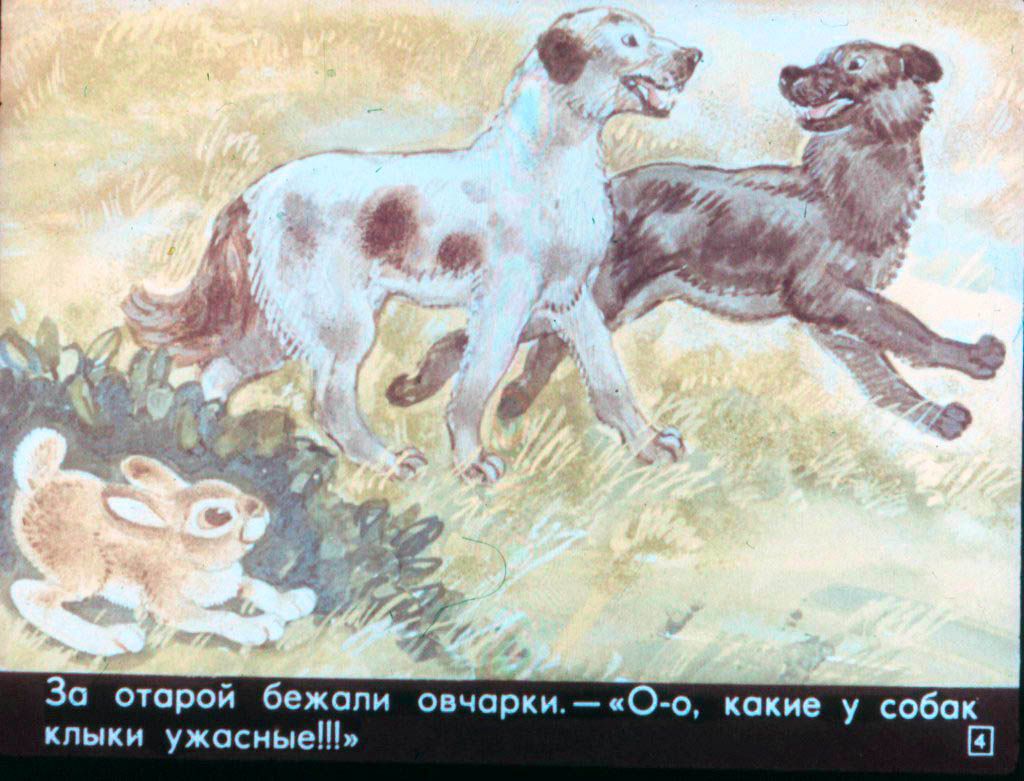 Кадр 4 диафильма «Как зайчишка ума набрался»