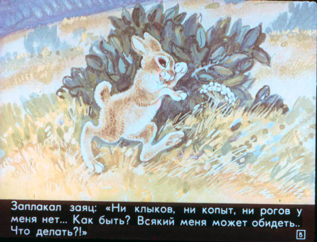 Кадр 5 диафильма «Как зайчишка ума набрался»